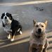 Lisa Matula - Facebook