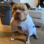 Lisa Mayhew - @mayhewlisa83 - Instagram