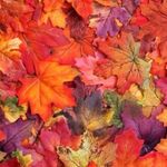 Lisa McAbee Miller - @lisamllr9 - Instagram
