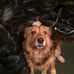 Lisa Mcbean - Facebook