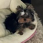 Lisa Hansberger-McBrayer - @soliare - Instagram