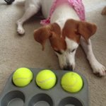 Lisa McCafferty - @lingfallenstronger - Instagram