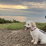 Lisa McClean - @lisaamcclean - Instagram