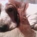 Lisa Mccourt - Facebook