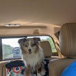 Lisa Mccurry - @lisamccurry988 - Instagram