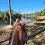Lisa McCurry Ruth - @lisa.m.ruth.3 - Instagram
