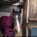 Lisa Mcelroy - Facebook