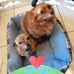 Lisa Perez - Facebook