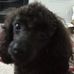 Lisa Dawson McElwee - Facebook