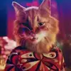 lisamcglone56 - @geologyrocks23 - TikTok