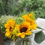 Lisa McLemore - @goldfishsuperhero - Instagram