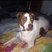 Lisa McMillin - Facebook