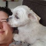 Lisa McMillin - @mcmillinlisa - Instagram