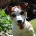 Lisa McVickers - Facebook