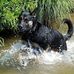 Lisa Meader - Facebook