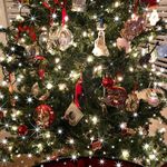 Lisa Meagher Glenn - @zoinksmom - Instagram