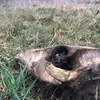 lisa meiners - @lisa.meiners - TikTok