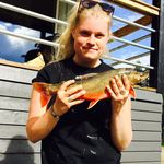 Lisa Melander - @lisaaamelander - Instagram