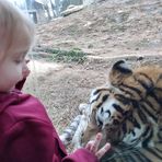 Lisa Melanson Tennyson - Facebook