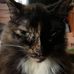 Lisa Melson - Facebook