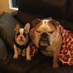 Lisa Melson - @melsolia - Instagram