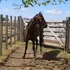 lisa_menchaca - @lisa_menchaca - TikTok