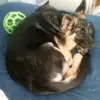 Lisa - @lisamerenda6 - TikTok