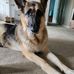 Lisa Merenda - Facebook