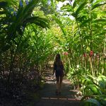 Lisa Michelin - @lizou852 - Instagram