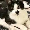 LisaAnnLockwoodMiley - @lisamiley913 - TikTok