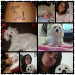 Lisa Millán - @ninera_mascotas - Instagram