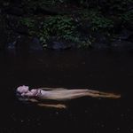 Lisa Mitchell - @lisahmitchell - Instagram