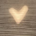 Lisa Modlin - @lisamodlin1 - Instagram
