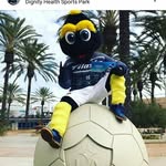 moises - @lisamoises - Instagram