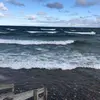 Lala - @lisa_moll1425 - TikTok