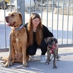 Lisa - @lisa.molly.luna - Instagram