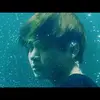 Lisa Moll - @lisamoll8 - TikTok