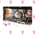 Lisa/Molly/Isa🐹🐹🐹 - @lisa_molly_isa_marsvinen - Instagram
