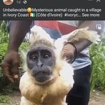 Lisa Morones - @dondi5924 - Instagram