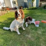 Lisa Morris - @colin_and_teds_adventures - Instagram