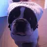 Lisa M0rr - @lisamorrone1 - TikTok