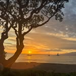 Lisa Morrone - @pdchick - Instagram