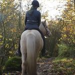 Lisa Mortensen - @lisamortensen18 - Instagram
