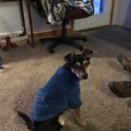 Lisa Mosier - Facebook