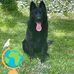 Lisa Mozingo - Facebook