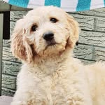 Lisa Mozingo Connell - @lisa.m.connell.5 - Instagram