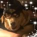 Lisa Mrazek - Facebook