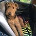Lisa Mullens - Facebook