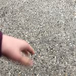 Lisa Munk - @lisa._.munk - Instagram