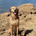 Lisa Munk - @comunk9 - Instagram